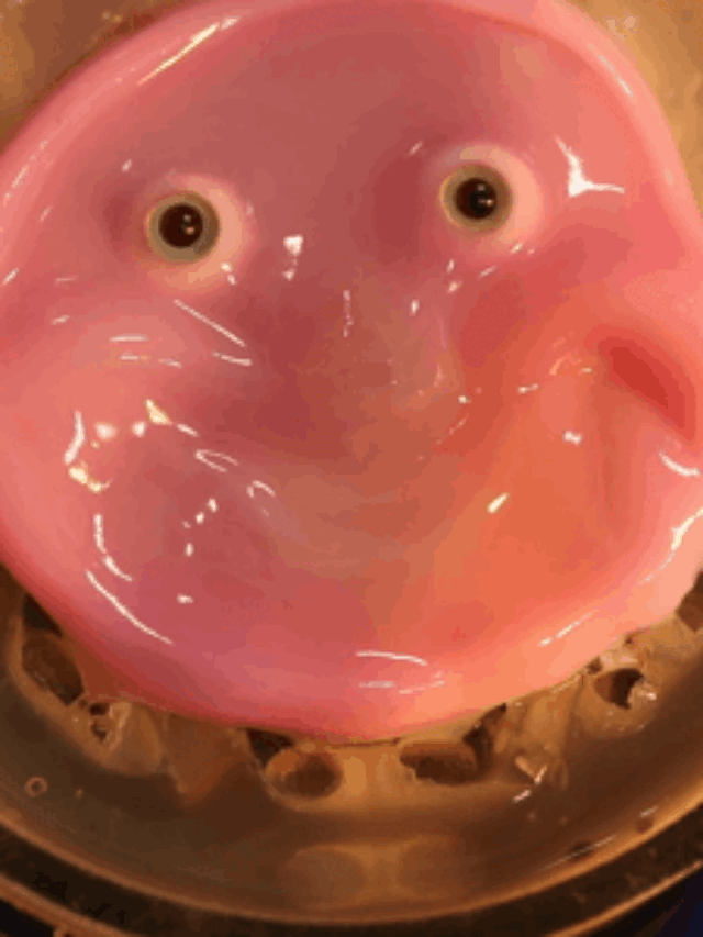 University of Tokyo scientists used human cells to develop an equivalent to living skin that can be attached to robotic surfaces to flash a smile. Photo Source : UTokyo