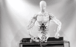 Torso by Clone | Bimanual Android with Artificial Muscles. Photo Source: Clone (YouTube)