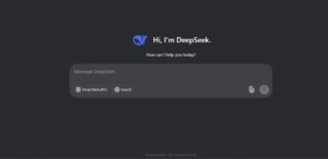 Deepseek user interface. Photo Source : Deepseek