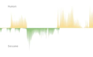 A comparative bar graph with two sets of data labeled "Human" and "Sesame." Photo Source - Sesame ai