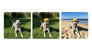 Gemini AI Image Editing