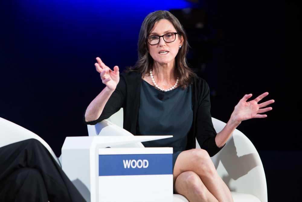 Cathie Wood on a television screen, with ARK Invest branding and Tesla stock chart in the background.